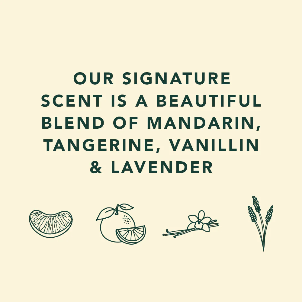 [LIMITED EDITION] BOTANICAL BODY WASH | SIGNATURE SCENT | 1 L - Image 5
