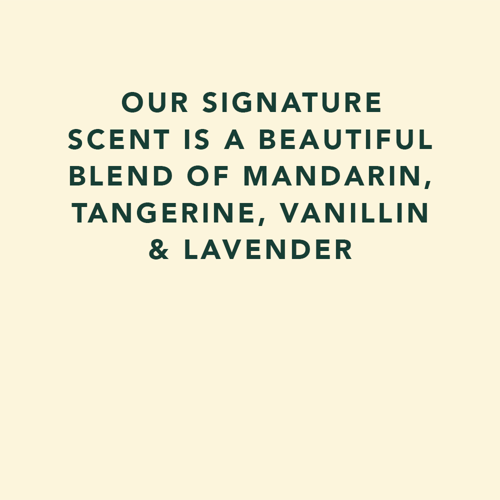 CLEANSING HAND WASH PUMP SIGNATURE | 1 L - Image 5