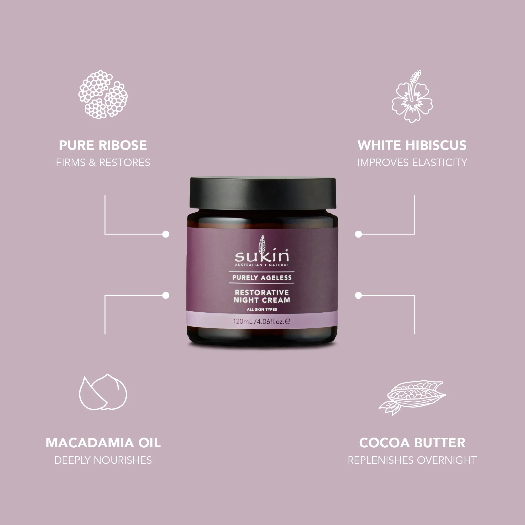 RESTORATIVE NIGHT CREAM | PURELY AGELESS | 120 mL - Image 3