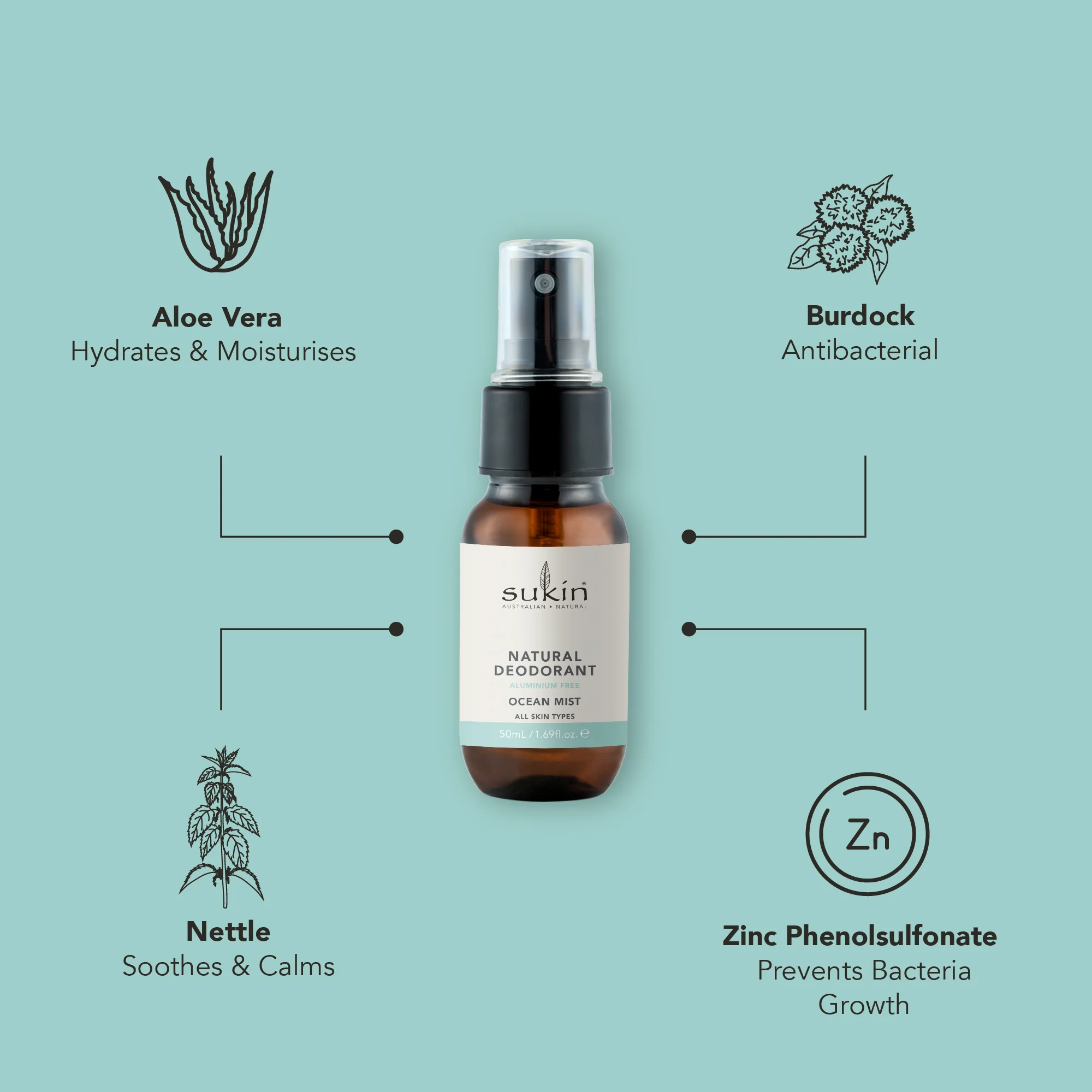 NATURAL DEODORANT OCEAN MIST | 50ML - TRAVEL SIZE - Image 3